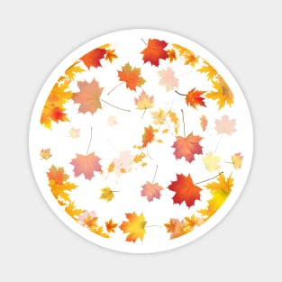 Autumn Scattered Leaf Design - Fall Leaves - Maple Leaves  - Autumn Colours - White Background Magnet